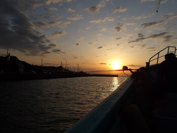 100_0002.JPG
