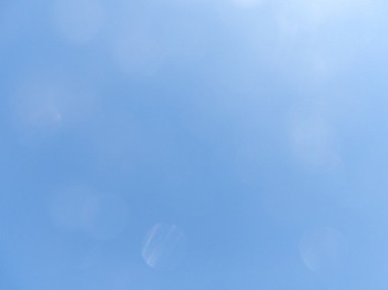 100_0011.JPG