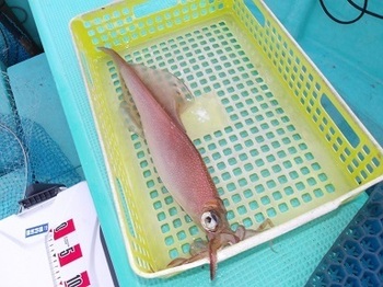 100_0012.JPG