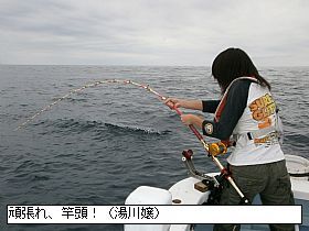 2011082014486_11_web.jpg