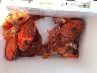 IMG_0189.jpg