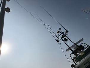 IMG_0295.jpg