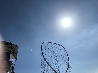 IMG_0342.jpg
