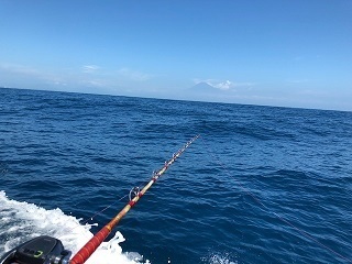 IMG_0343.jpg