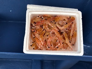 IMG_1221.jpg