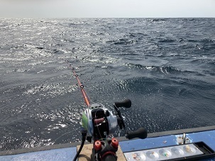 IMG_1233.jpg