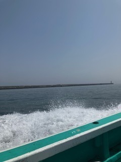 IMG_4397.jpg