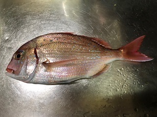 image1.jpeg