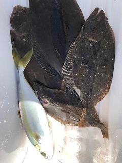 image5.jpeg