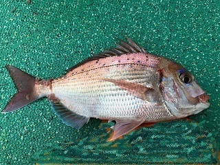 image6.jpeg