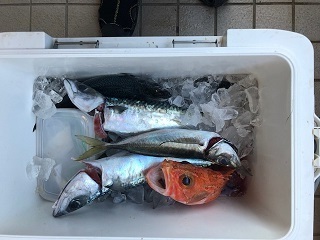 image6.jpeg